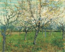 Haga click para ver la imagen ampliada 1888 orchard with blossoming apricot trees.jpg